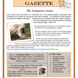 January 2020 Gazette