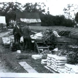 Rusby’s Market Garden ca 1930s