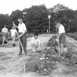 Royal Botanical Gardens children’s garden, 1955